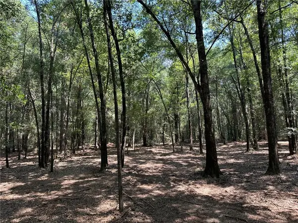 0 Danner Road, Wilmer, AL 36587