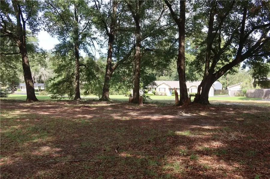 0 Plateau Avenue, Satsuma, AL 36572 - #2