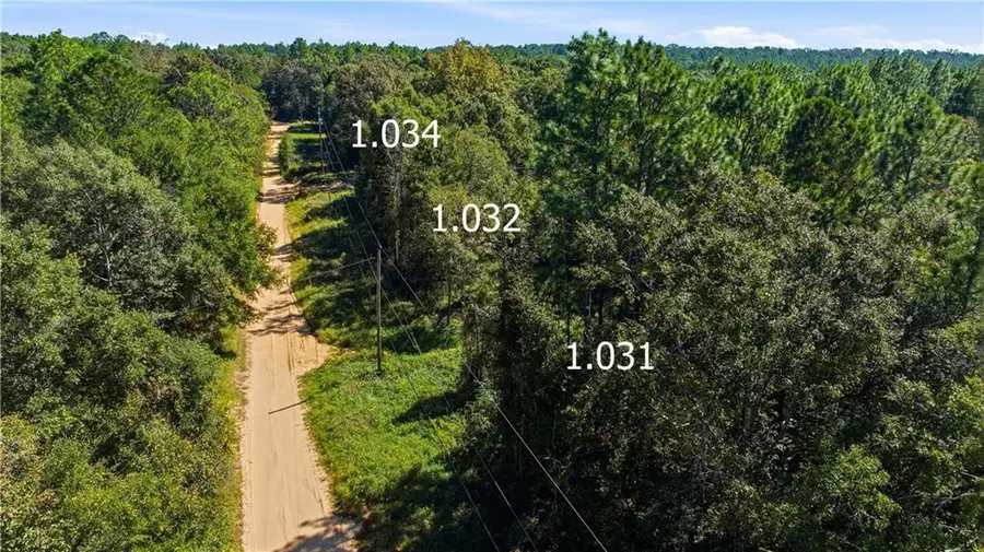 0 Miller Branch Lane, Chunchula, AL 36521 - #2