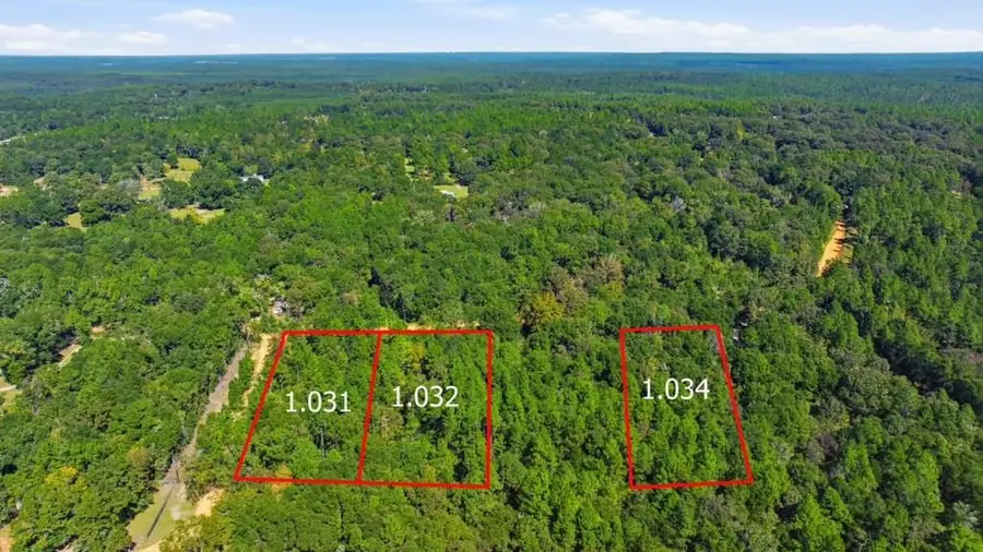 0 Miller Branch Lane, Chunchula, AL 36521 - #3