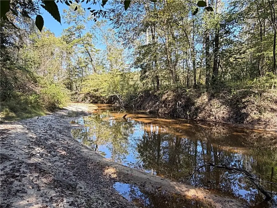 0 Highway 20, Butler, AL 36904 - #2