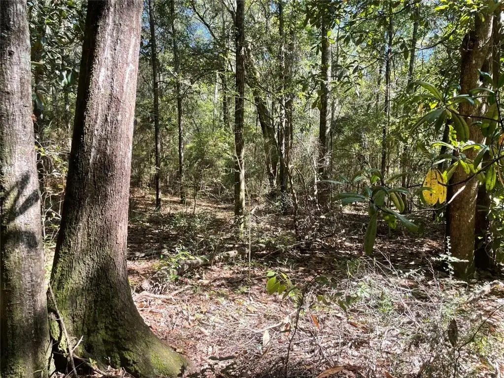 0 Riley Street, Mobile, AL 36608 - #1