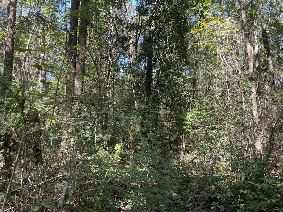 0 Riley Street, Mobile, AL 36608 - #2