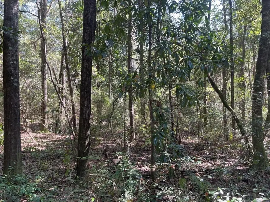 0 Riley Street, Mobile, AL 36608 - #3