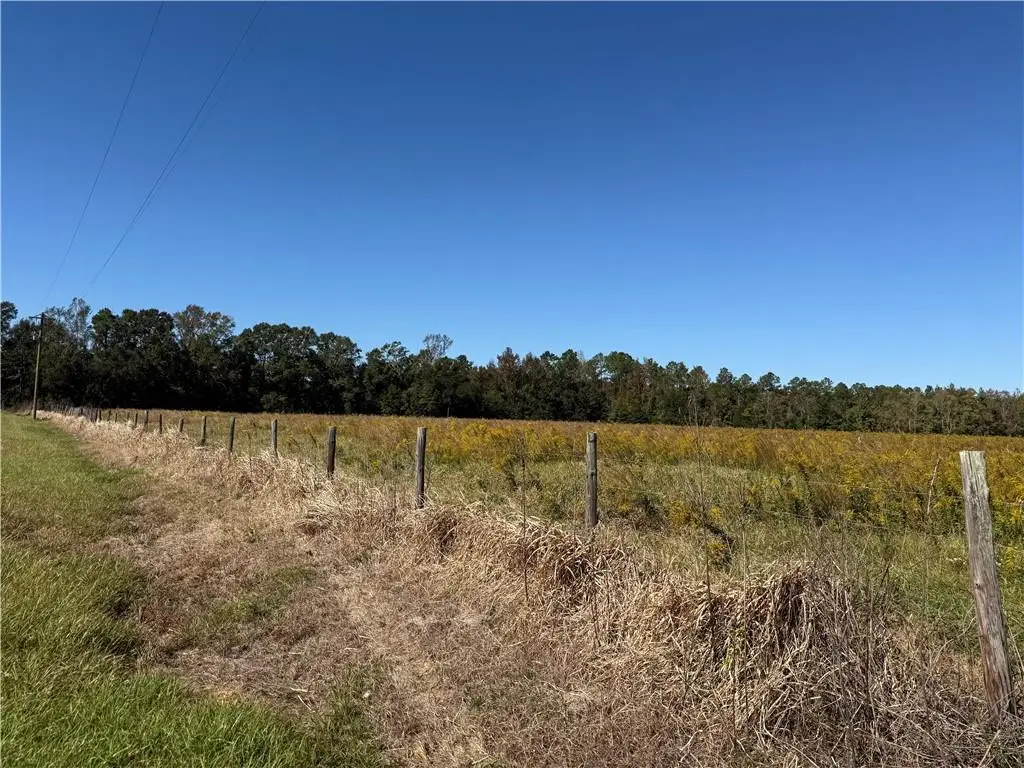 15943 Dogwood Road, Bay Minette, AL 36507 - #1