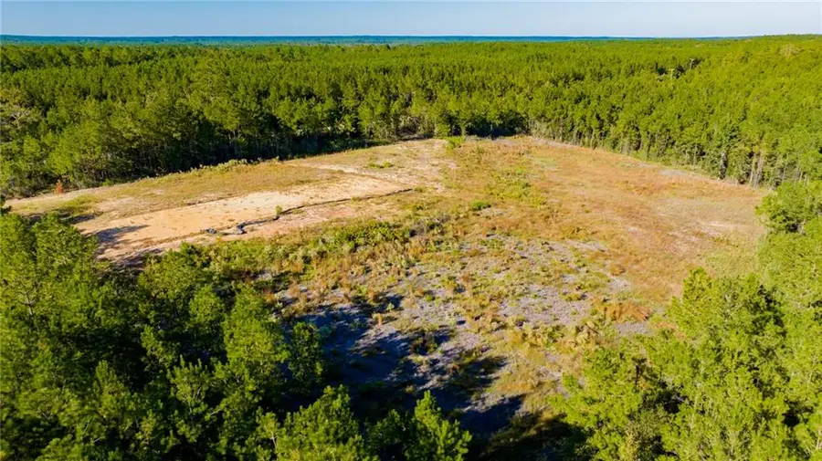 0 John Johnston Road, McIntosh, AL 36553 - #2