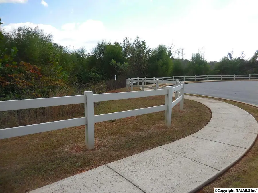 0 Neldabrook Way, Madison, AL 35758 - #3