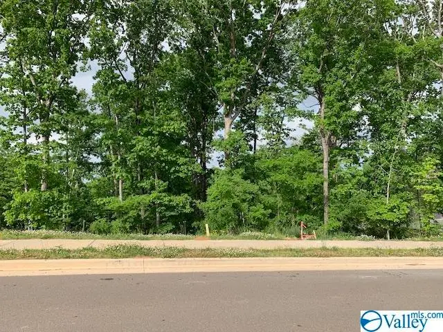 30 Watson Grande Way, Owens Cross Roads, AL 35763 - #1