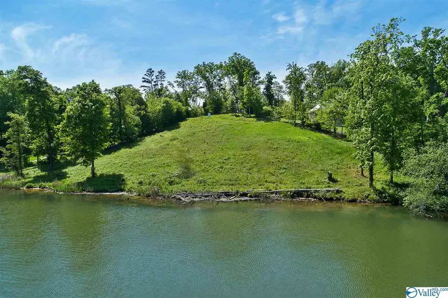 LOT 102 Signal Point Drive, Guntersville, AL 35976 - #2