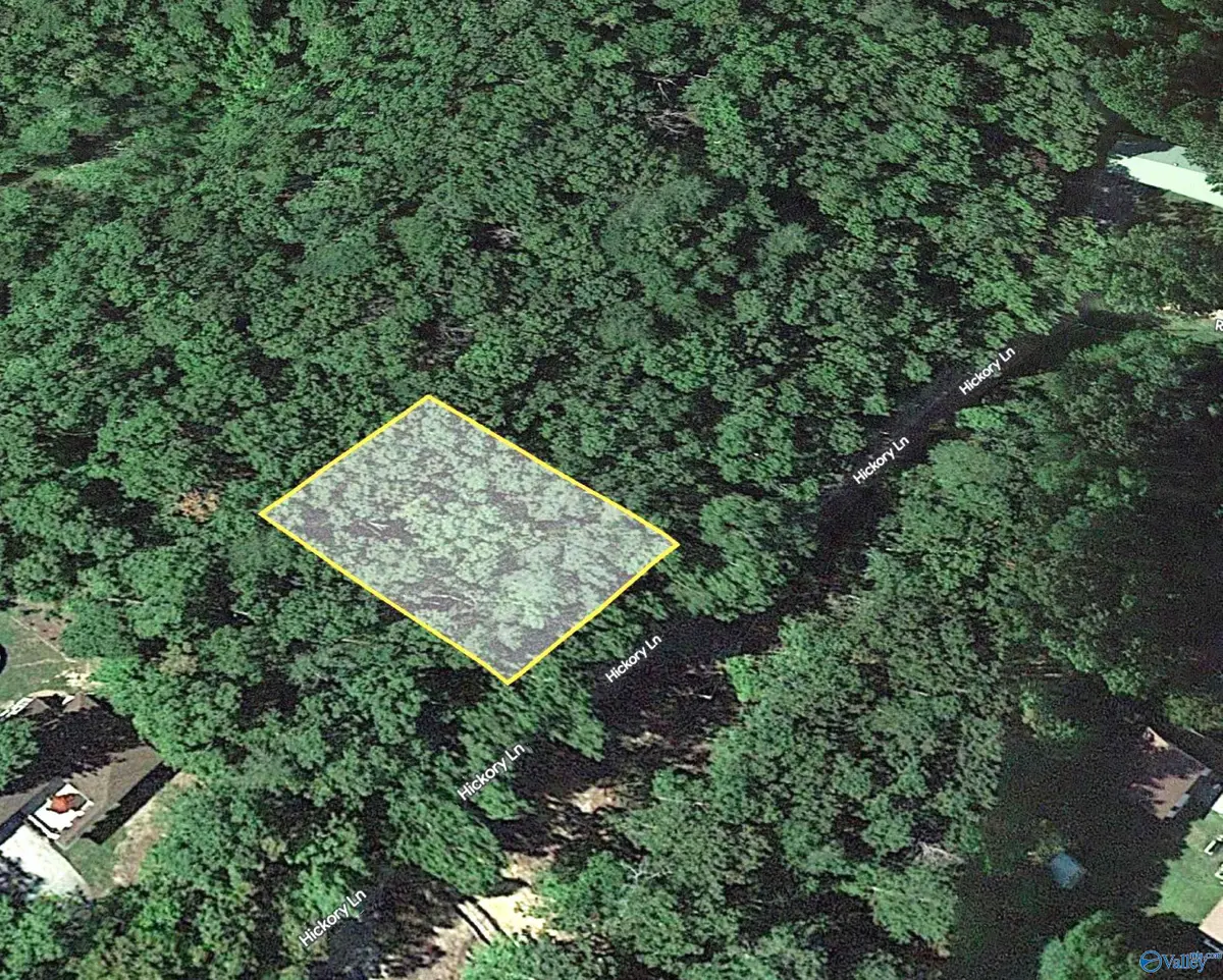 Lot 4 Hickory Lane, Valley Head, AL 35989 - Image #1
