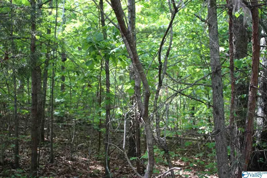 Lot 4 Hickory Lane, Valley Head, AL 35989 - Image #2