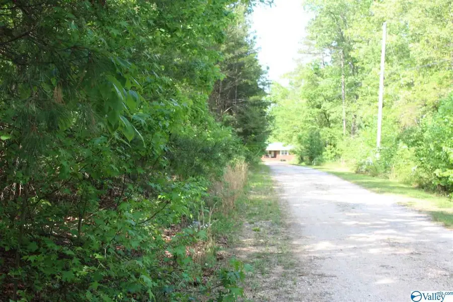 Lot 4 Hickory Lane, Valley Head, AL 35989 - Image #3