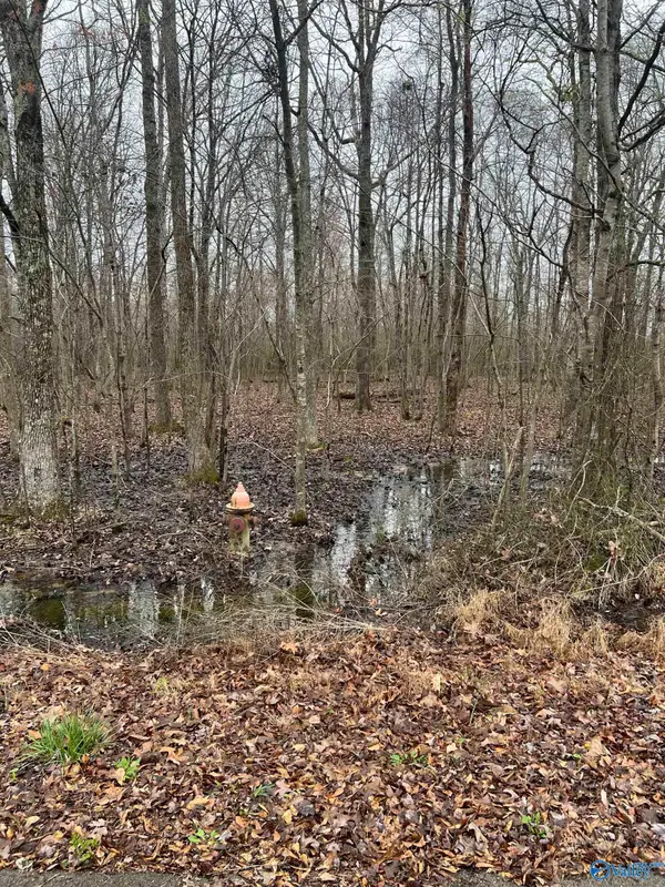 Lot 17 Jessica Drive, TONEY, AL 35773