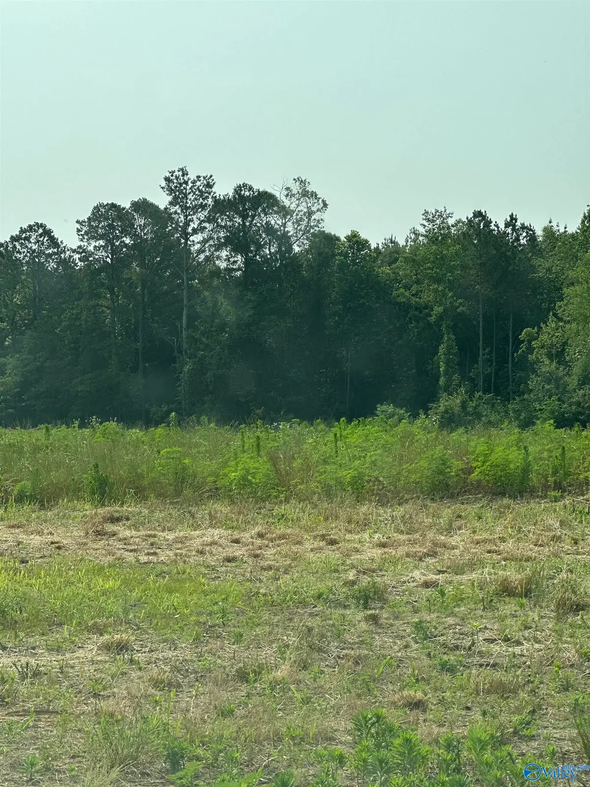 Tract 35 Hays Mill Road, Elkmont, AL 35620 - #1