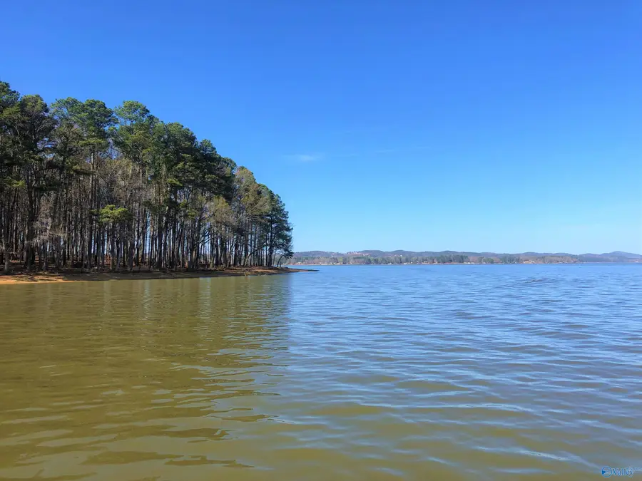 Lot 2 Little River Landing, Cedar Bluff, AL 35959 - #2