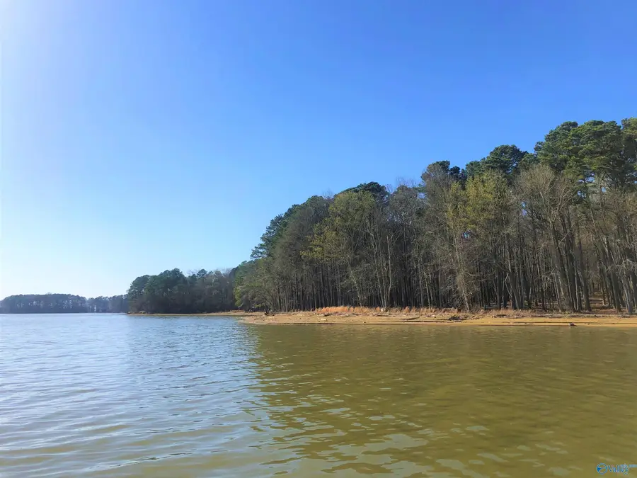 Lot 2 Little River Landing, Cedar Bluff, AL 35959 - #2