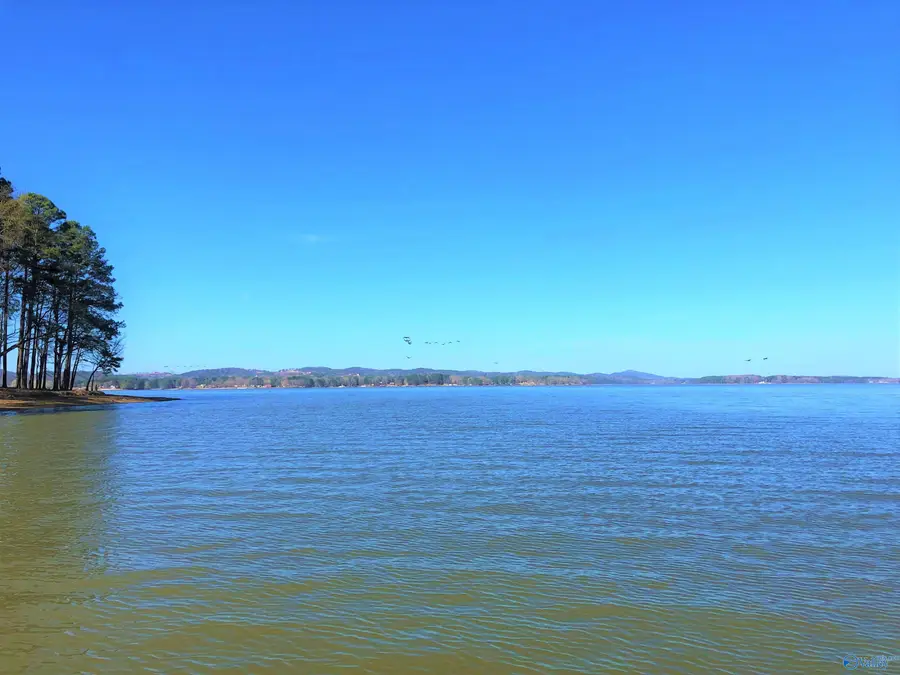 Lot 2 Little River Landing, Cedar Bluff, AL 35959 - #3