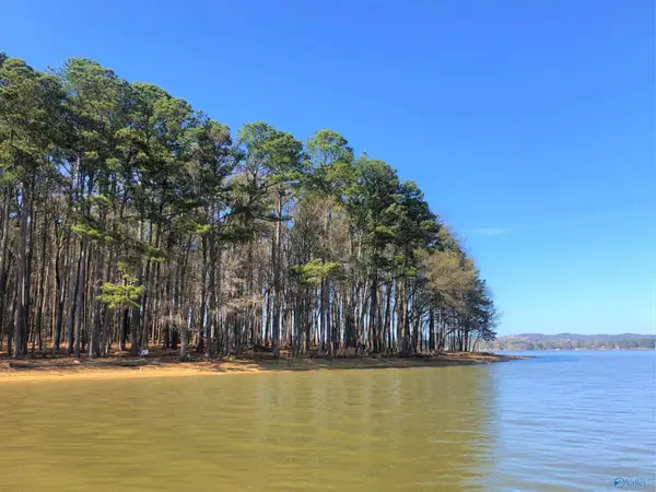 Lot 5 Little River Landing, CEDAR BLUFF, AL 35959