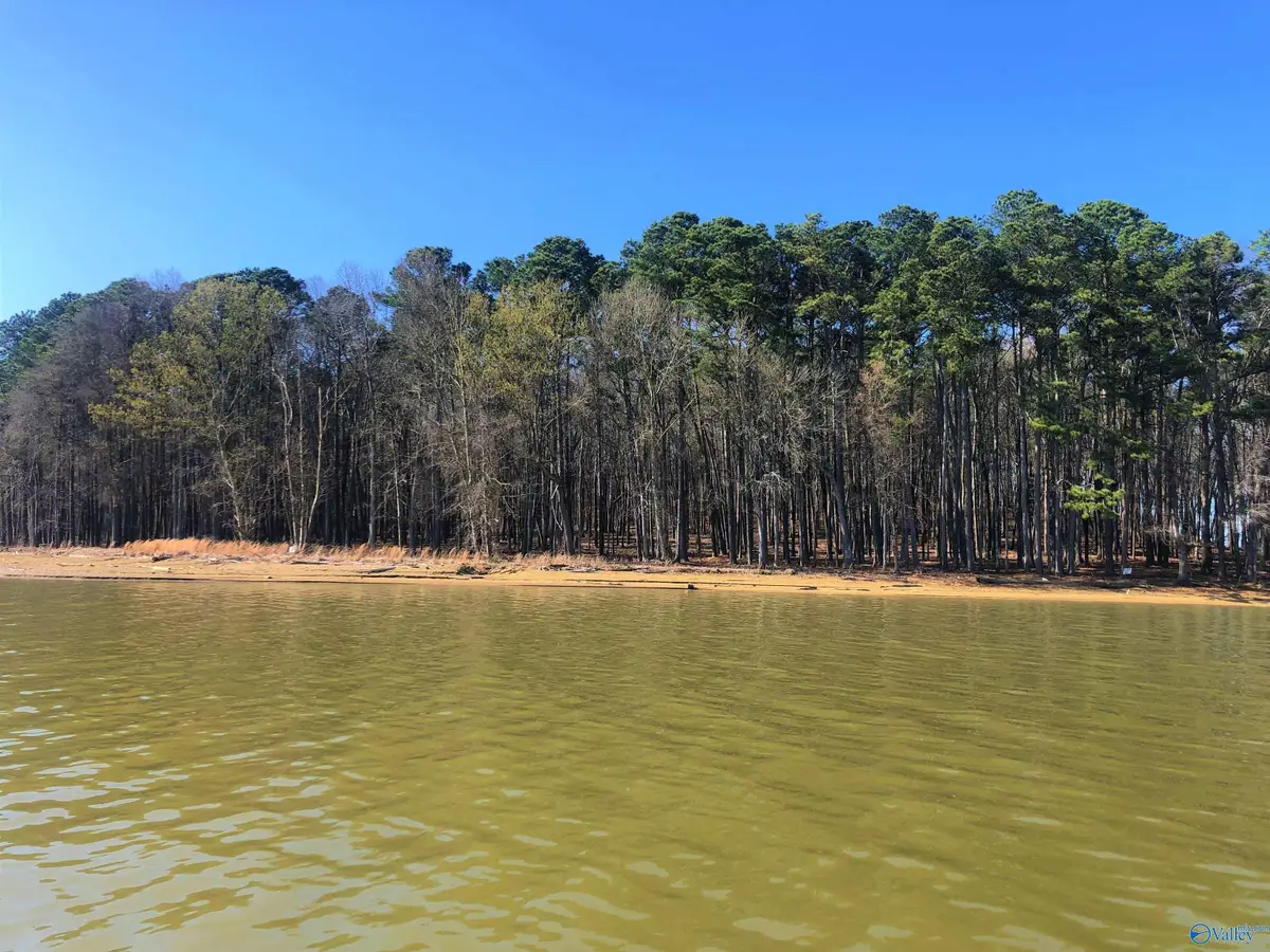 Lot 6 Little River Landing, Cedar Bluff, AL 35959 - #1