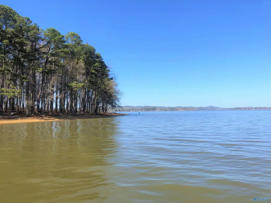 Lot 6 Little River Landing, Cedar Bluff, AL 35959 - #3