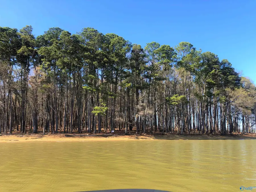 Lot 8 Little River Landing, Cedar Bluff, AL 35959 - #3