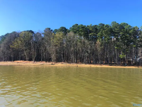 Lot 17 Little River Landing, Cedar Bluff, AL 35959