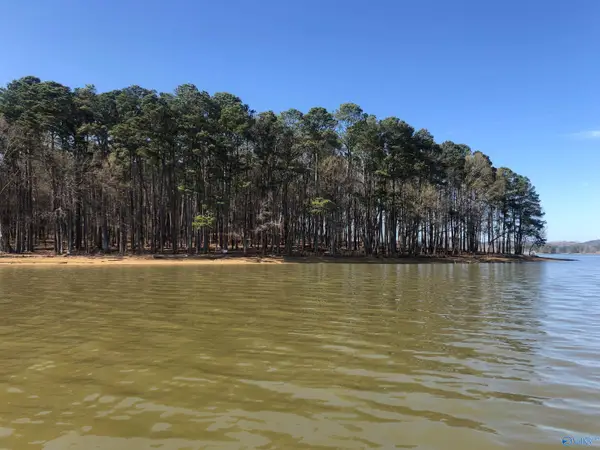 Lot 12 Little River Landing, CEDAR BLUFF, AL 35959