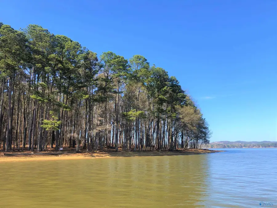 Lot 12 Little River Landing, Cedar Bluff, AL 35959 - #3
