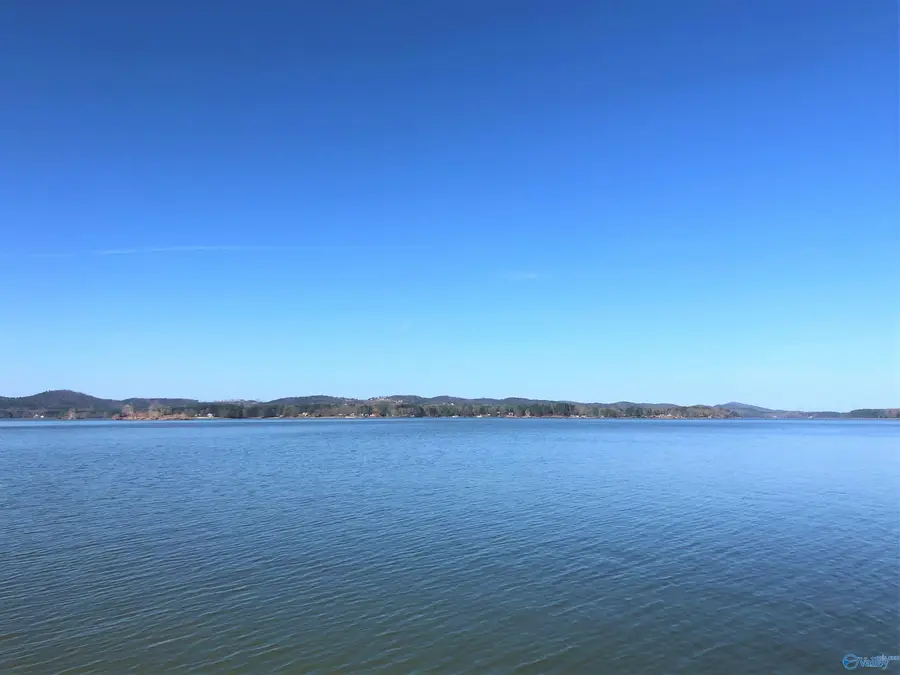 Lot 14 Little River Landing, Cedar Bluff, AL 35959 - #3