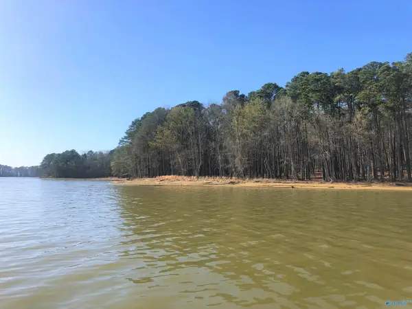 Lot 17 Little River Landing, CEDAR BLUFF, AL 35959