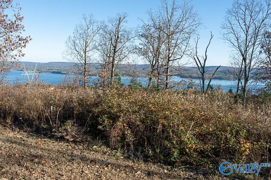Lot 10 Keene Point Drive, Grant, AL 35747 - #3