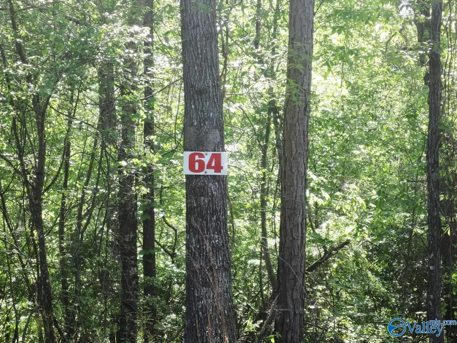 #2