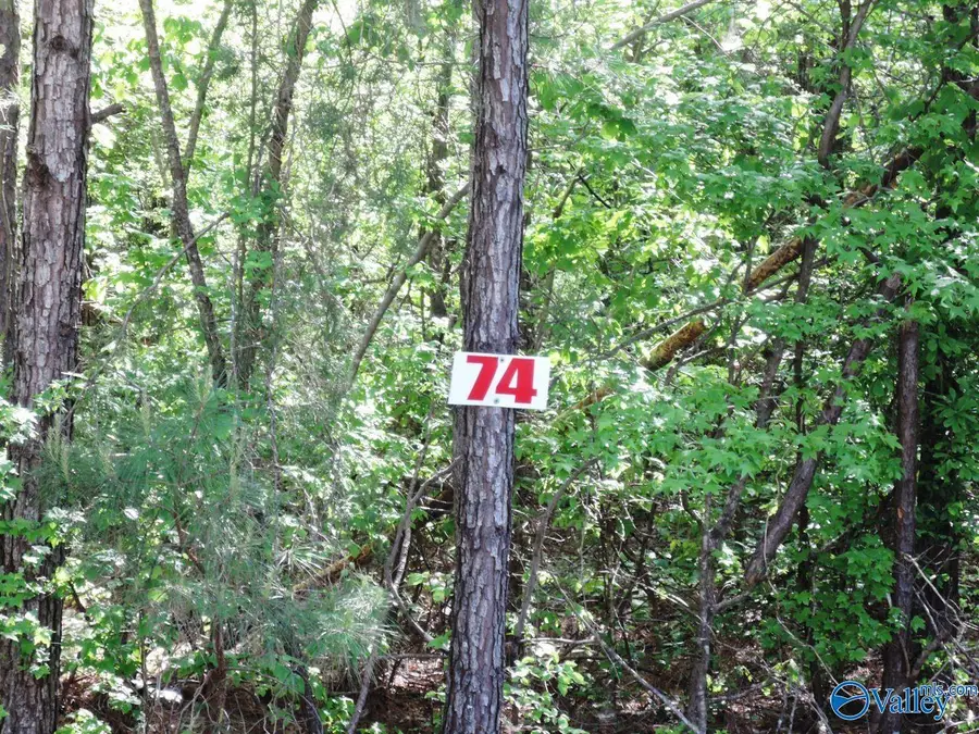 #2