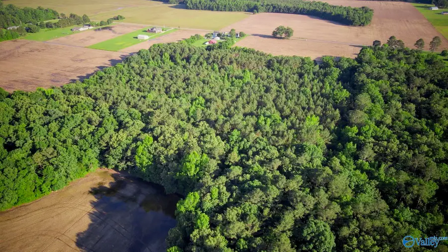 24 Acres Sewell Road, Athens, AL 35614 - Image #3
