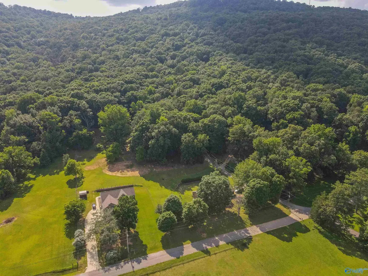 226 Walter Bird Drive, Owens Cross Roads, AL 35763 - Image #1