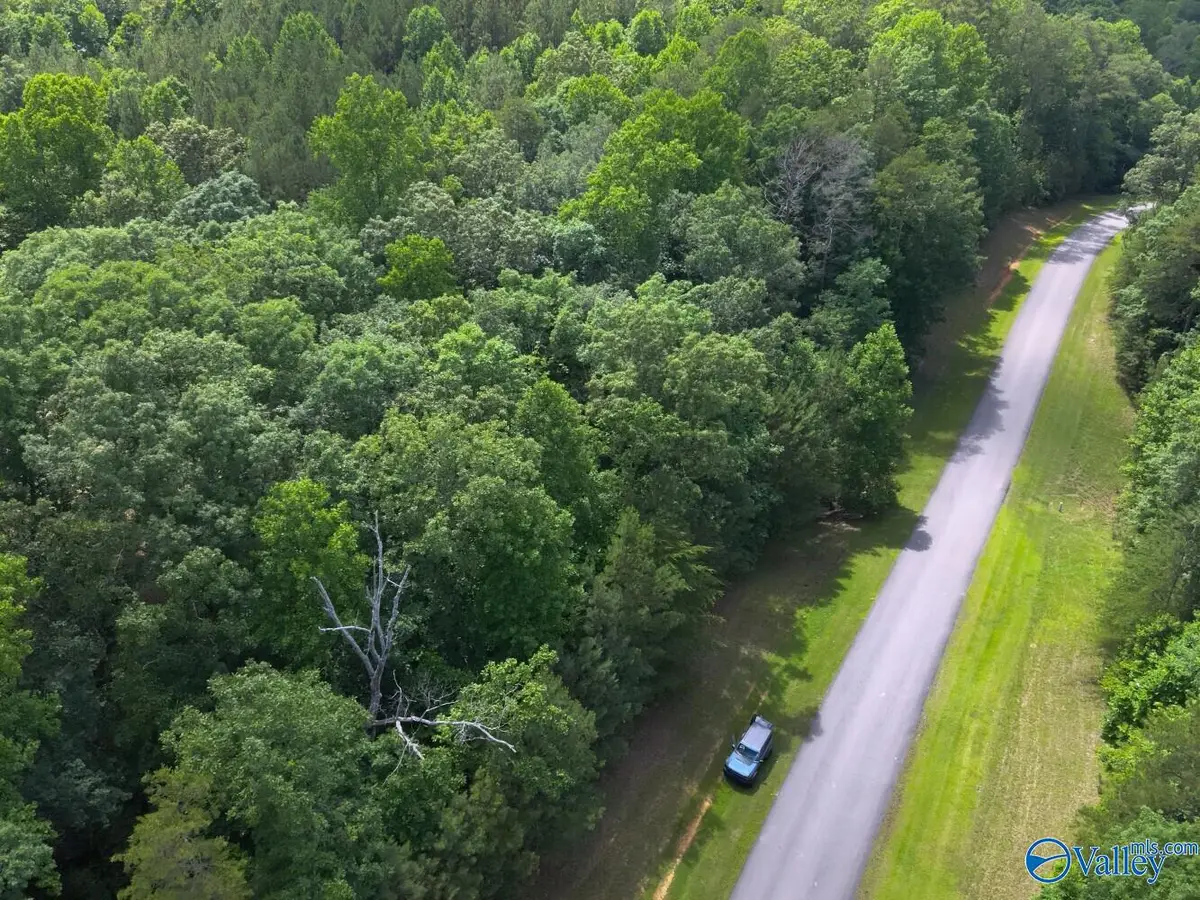 1.10 +/- Acres Stoney Point Road, Double Springs, AL 35553 - #1