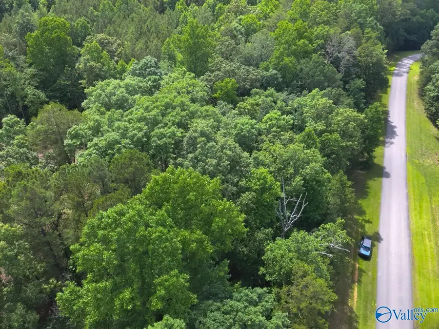 1.10 +/- Acres Stoney Point Road, Double Springs, AL 35553 - #2