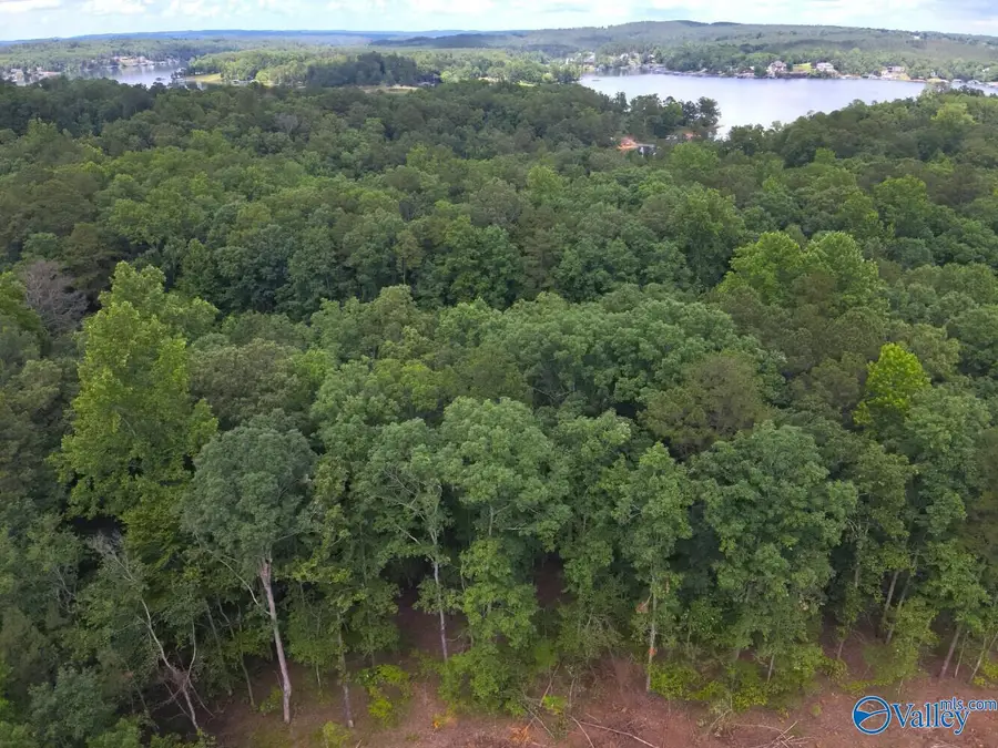 1.10 +/- Acres Stoney Point Road, Double Springs, AL 35553 - #3