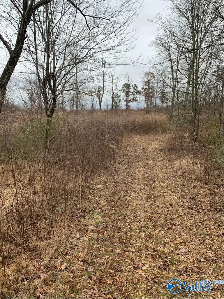 36 Brow Road, Boaz, AL 35956 - Image #2