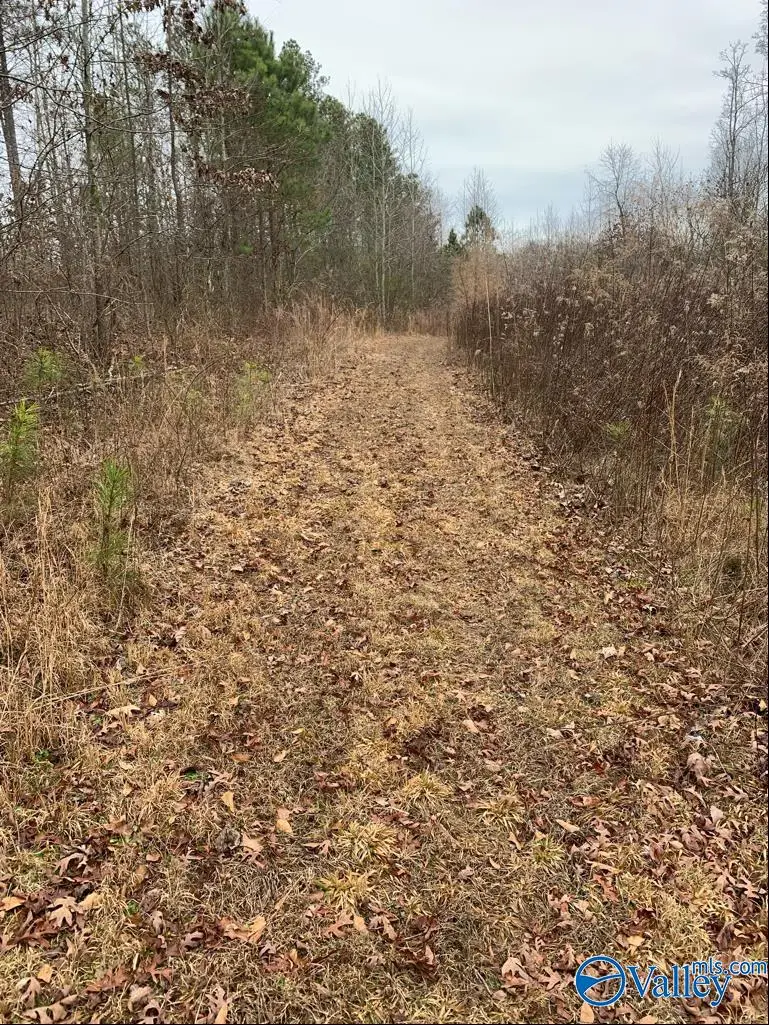 36 Brow Road, Boaz, AL 35956 - Image #3