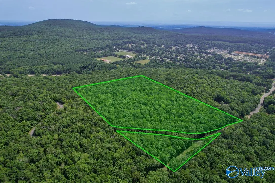 20 Acres Juniper Drive, Huntsville, AL 35810 - #1
