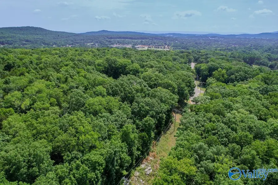 20 Acres Juniper Drive, Huntsville, AL 35810 - #2