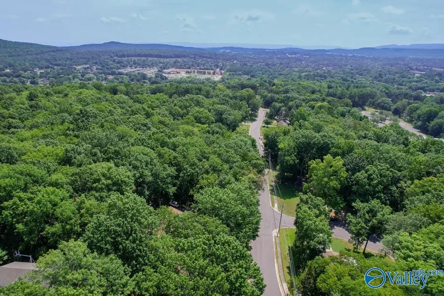 20 Acres Juniper Drive, Huntsville, AL 35810 - #3