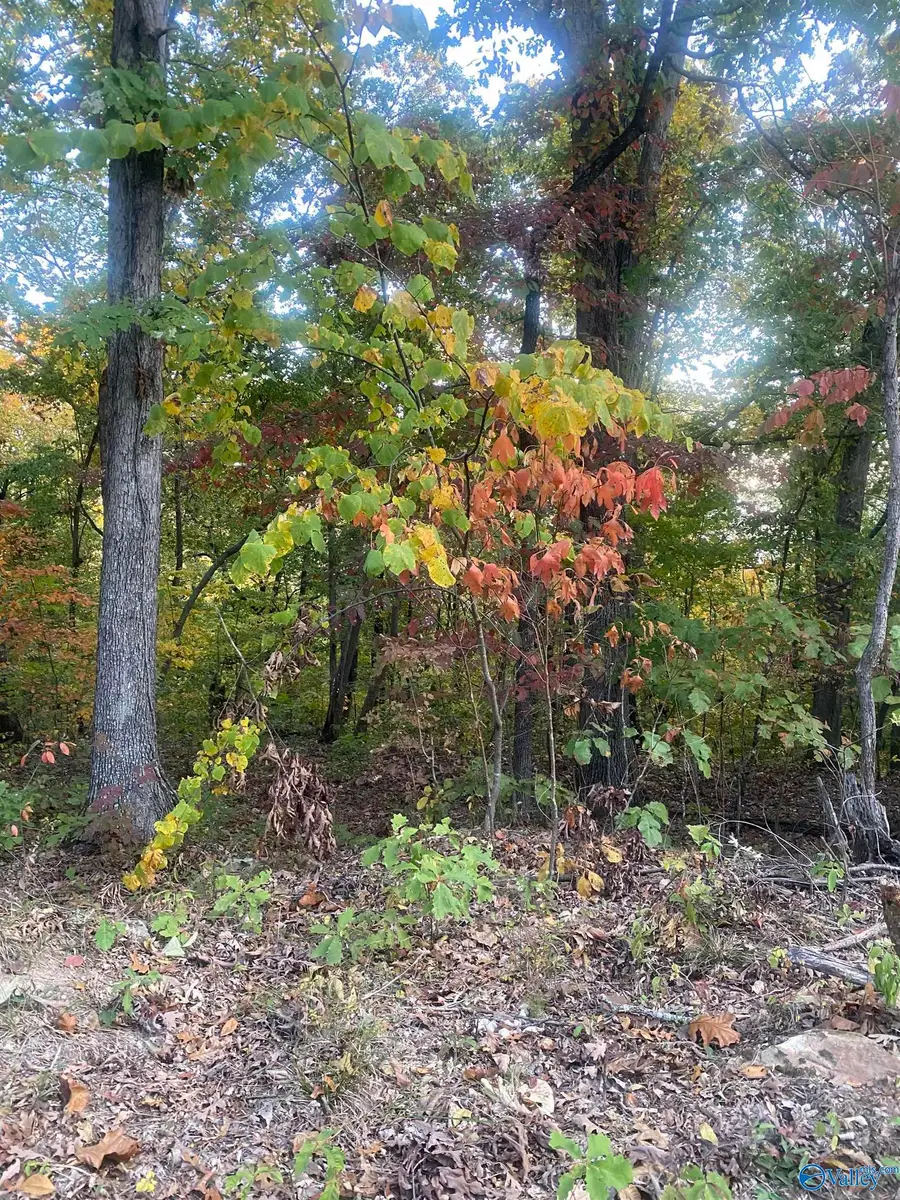 #3