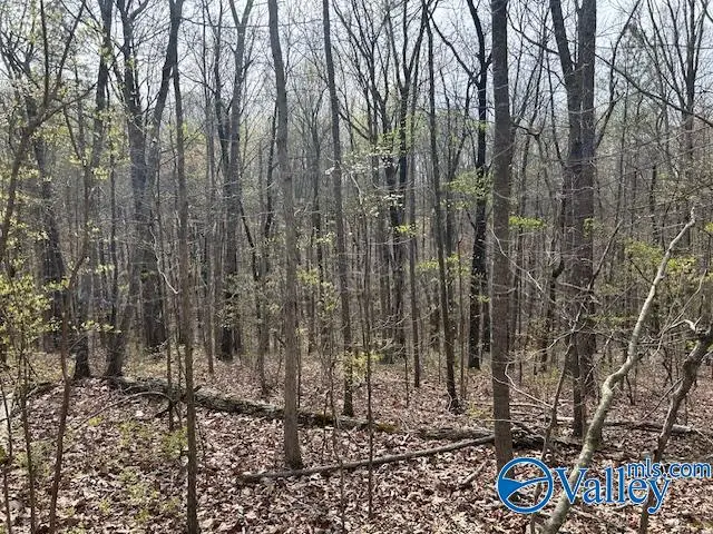 #2