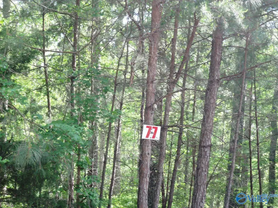 #3