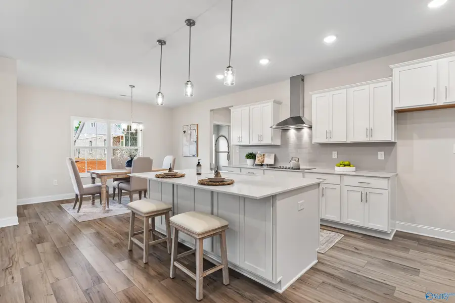 205 Kendall Farms Boulevard, Toney, AL 35773 - Image #2