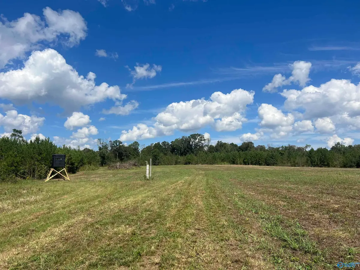 140 +/- acres Highway 157, Leighton, AL 35646 - #1