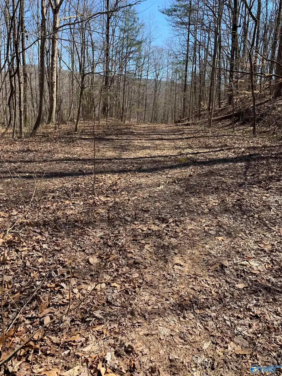 #3