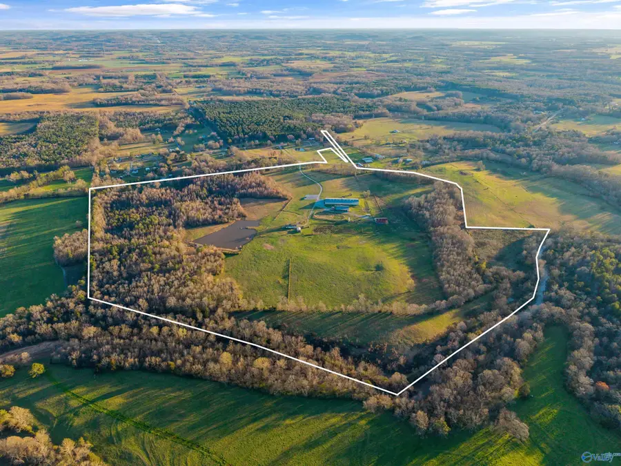 1255 County Road 72, Danville, AL 35619 - Image #3